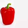 Allergen Awareness training course